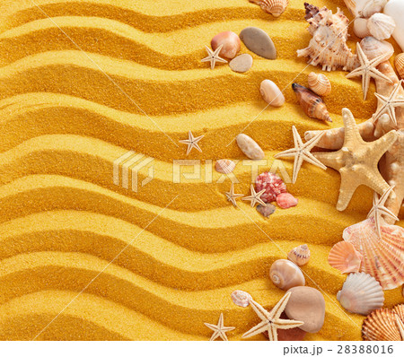 Yellow sand and seashells background. Yellow sand and seashells background. 28388016