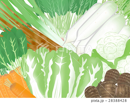 冬 野菜 イラスト 背景のイラスト素材 2428