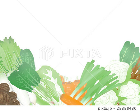 冬 野菜 イラスト 背景 フレームのイラスト素材 28388430 Pixta