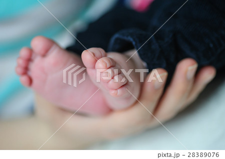mother hands holding baby feet 28389076