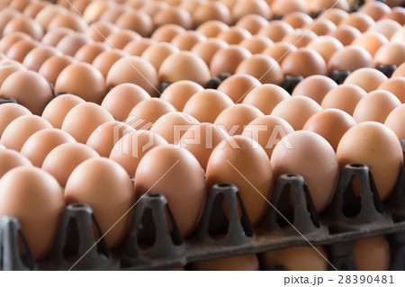 Eggs from chicken farm in the package that Eggs from chicken farm in the package that 28390481