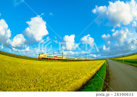 稲穂といなほ号　羽越本線：西袋～余目間　E653系 28390633