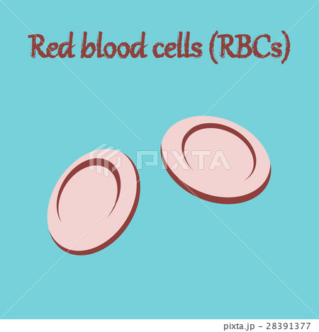 human organ icon in flat style blood cells 28391377