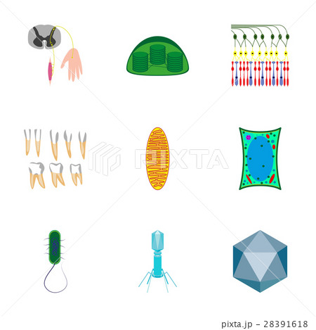 icons set in flat style cells viruses teeth 28391618