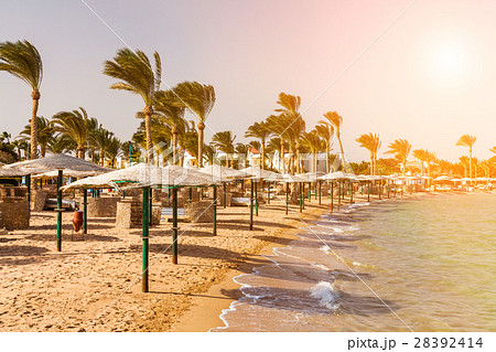 Picturesque views of the tropical beach with palm Picturesque views of the tropical beach with palm 28392414