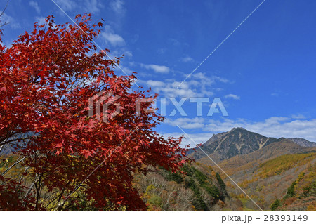 紅葉の八ヶ岳 紅葉の八ヶ岳 28393149