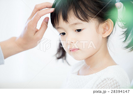 ファミリー ファミリー 28394147