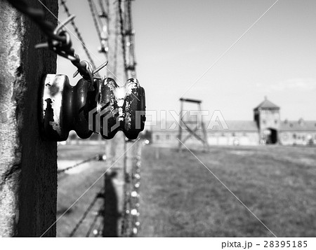 Detailed view of barb wire fence in concentration 28395185