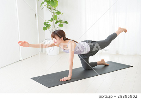 明るい室内でヨガをする若い女性 28395902