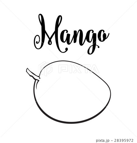 Whole Unpeeled Uncut Sweet Mango Tropical Fruitのイラスト素材