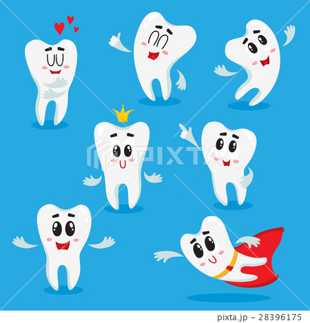 Cute, happy shiny white tooth characters showing 28396175