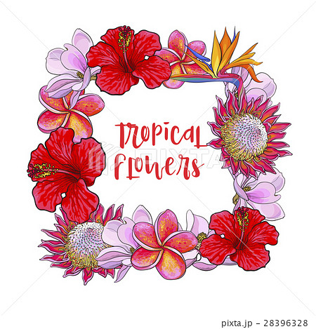 Square frame of tropical flowers and palm leaves 28396328