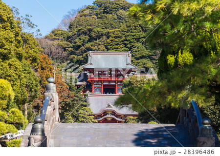 鎌倉 鶴岡八幡宮 本宮 鎌倉 鶴岡八幡宮 本宮 28396486