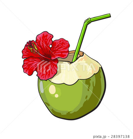 Coconut cocktail, drink decorated with hibiscus Coconut cocktail, drink decorated with hibiscus 28397138