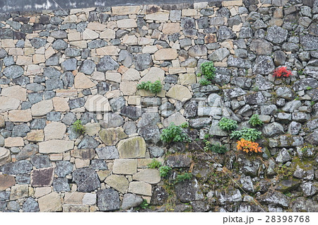 岸和田城の石垣（大阪府岸和田市岸城町） 28398768