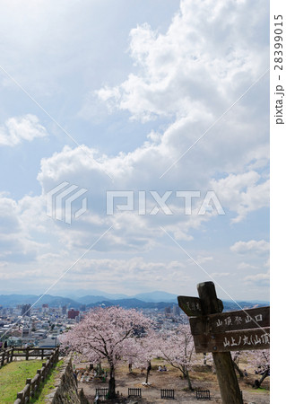 春の鳥取城跡 28399015