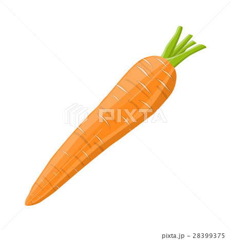 Carrot vegetable isolated on white. 28399375