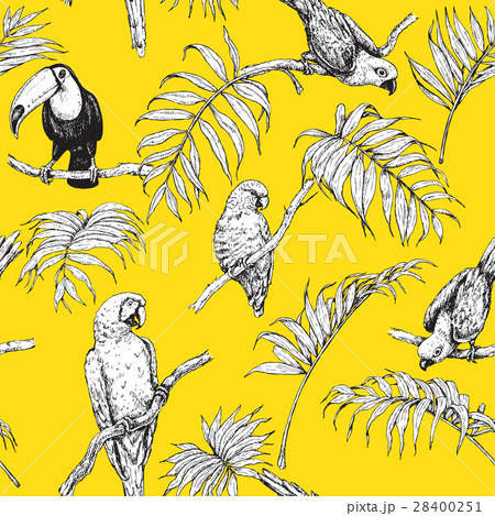 Parrots and Toucan Sketch Pattern 28400251