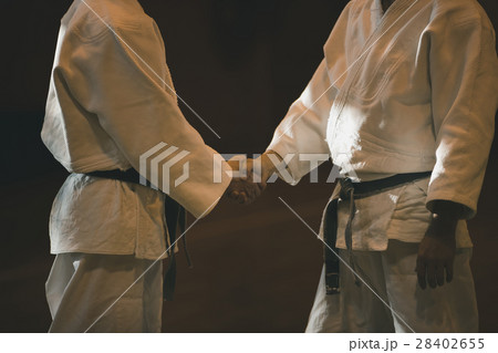 martial artist martial artist 28402655