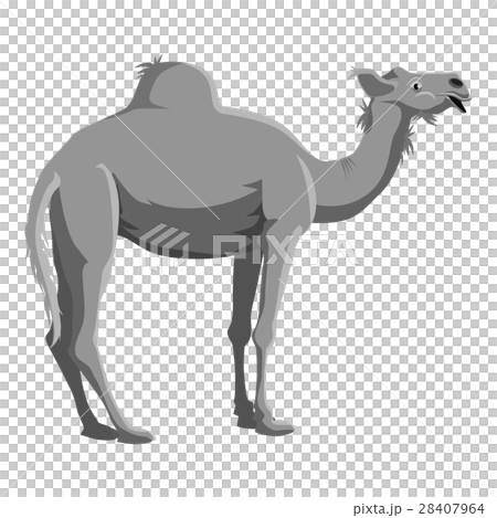Camel icon, gray monochrome style 28407964