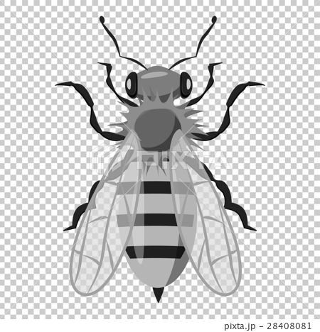 Insects Bee Icon Gray Monochrome Styleのイラスト素材