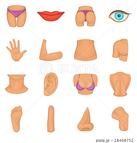 Body Parts Icons Set Cartoon Styleのイラスト素材