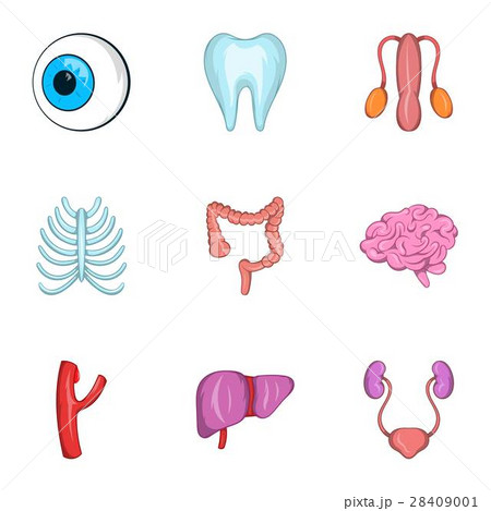 Structure of human icons set, cartoon style 28409001
