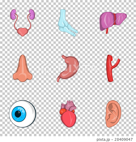 Structure of body icons set, cartoon style 28409047