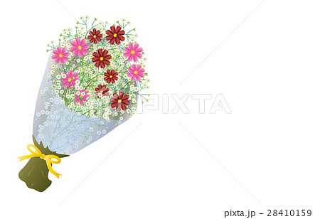 花束コスモス 28410159
