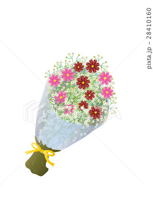 花束コスモス 28410160