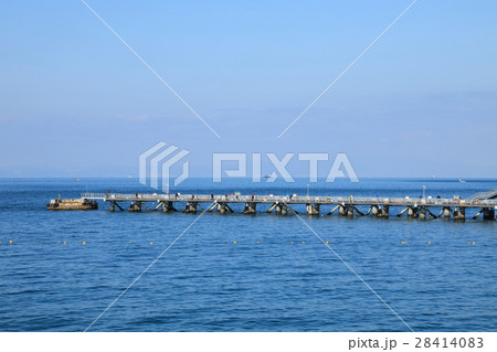 海釣り公園　とっとパーク 28414083