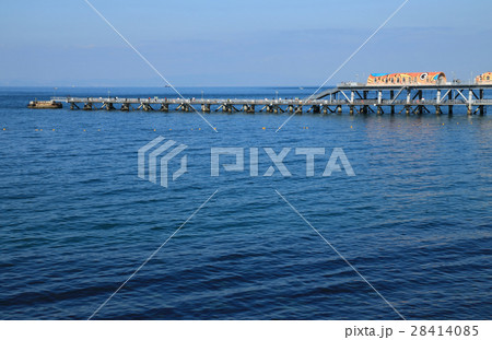 海釣り公園 とっとパーク 海釣り公園 とっとパーク 28414085