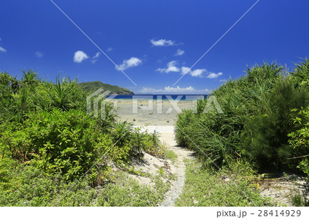 阿嘉島　風景 28414929