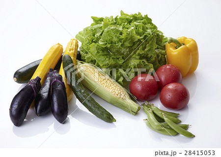 色とりどりの夏野菜 色とりどりの夏野菜 28415053