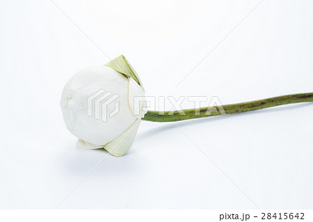 flowers and faith flowers and faith 28415642