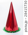 the christmas hat 28415730