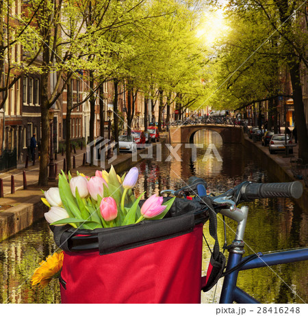 Amsterdam with  tulips against canal in Holland 28416248