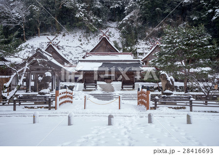 冬の佐太神社（松江市） 28416693