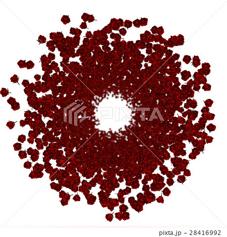 バラ 薔薇の赤い花が円状に咲くのイラスト素材