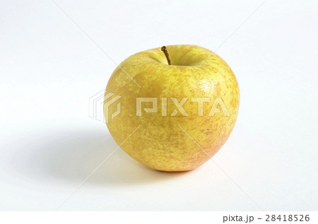 リンゴ（サン金星） 28418526