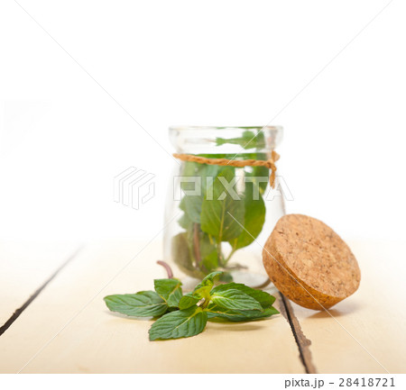 fresh mint leaves on a glass jar 28418721