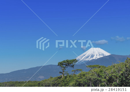 富士山 千本松原 富士山 千本松原 28419151