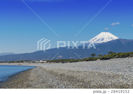 富士山　千本松原 28419152