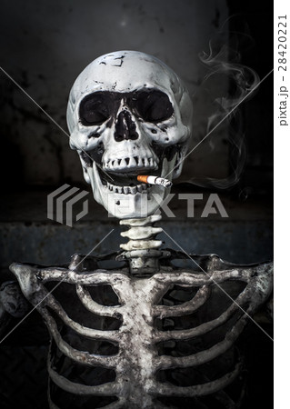 Still life Smoking human skeleton with cigarette 28420221
