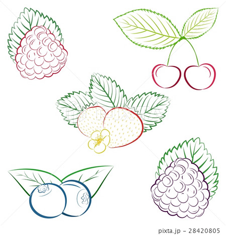 Collection of outlines strawberry, blueberry Collection of outlines strawberry, blueberry 28420805
