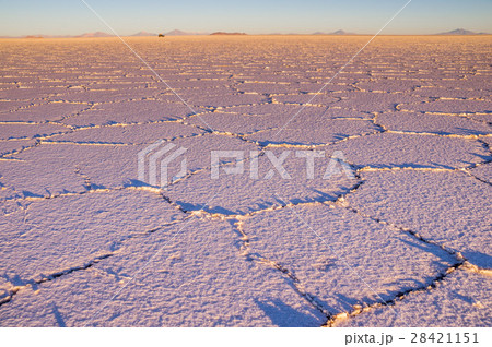 Salt pattern at sunrise - Salar de Uyuni, Bolivia 28421151
