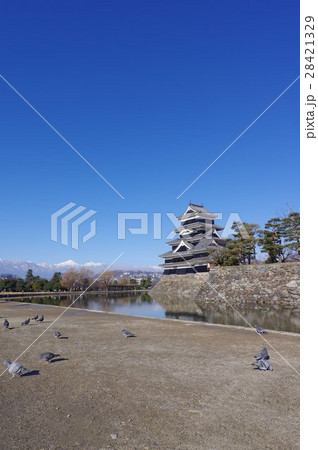 信州　松本　国宝　松本城　戦国時代建造の現存１２天守のひとつ　松本観光の中心 28421329