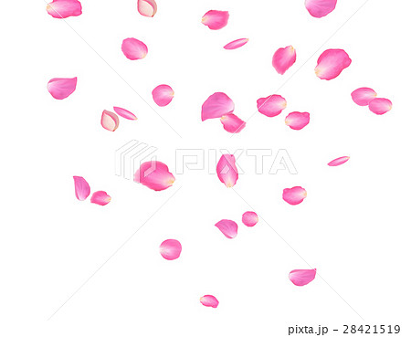 Abstract background with flying pink rose petals 28421519