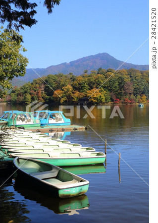 京都　秋の宝が池 28421520