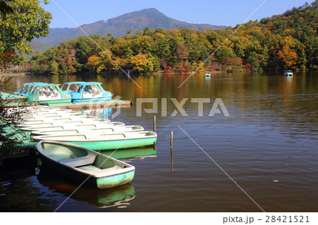 京都 秋の宝が池 京都 秋の宝が池 28421521